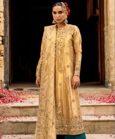 Gold Chandi Tissue Party Wear Dress