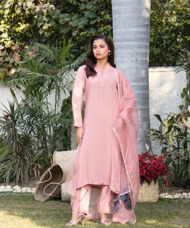 Tea Pink Raw Silk 3PC Suit with Hand-Painted Organza Dupatta